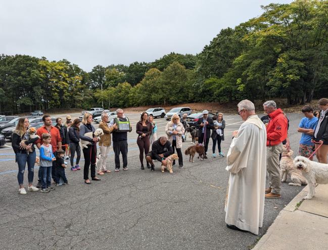 Animal blessing