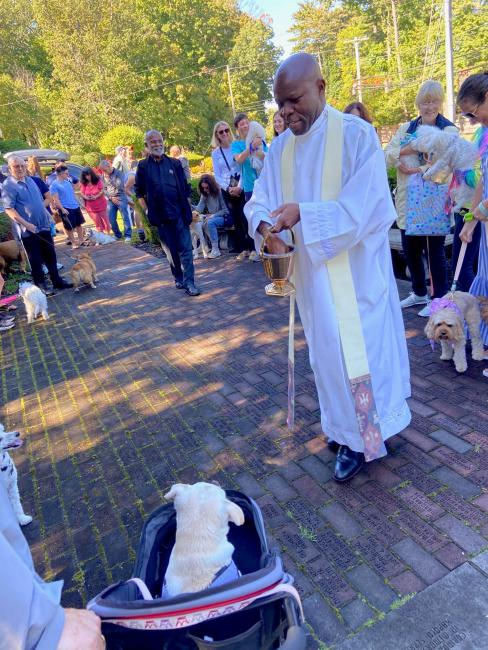Blessing of animals 2025